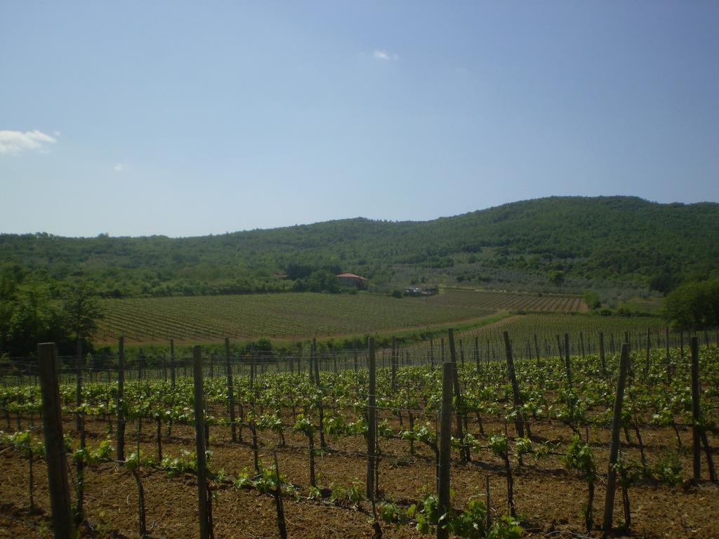 Agriturismo La Cella Villa Arezzo Exterior foto